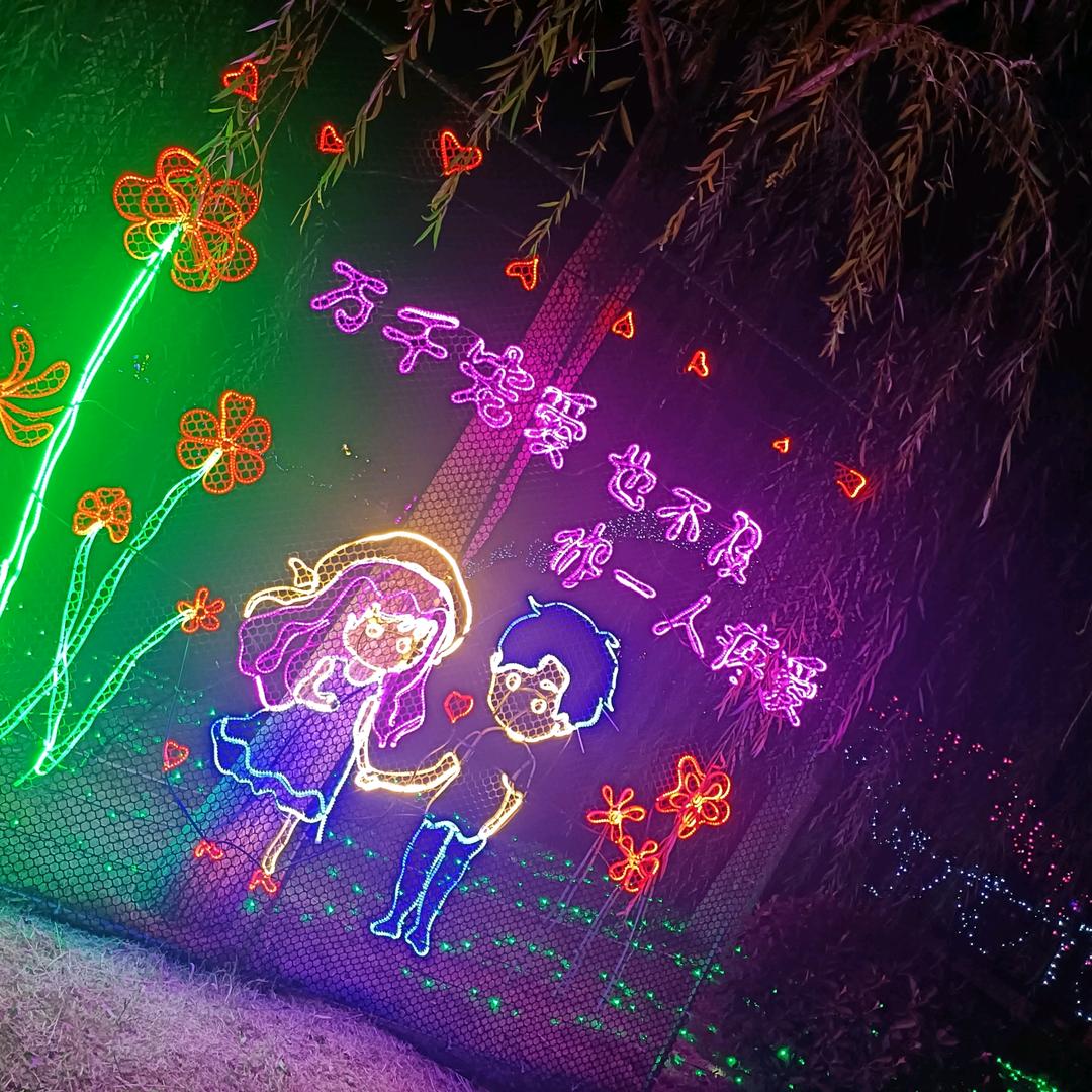 带刺的玫瑰🌹
