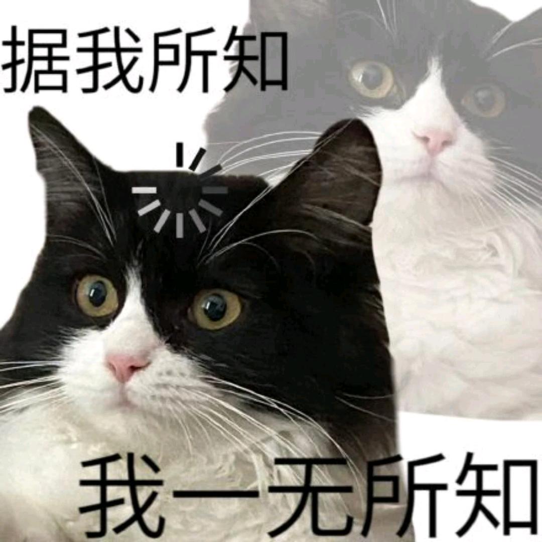 爱喝奶茶