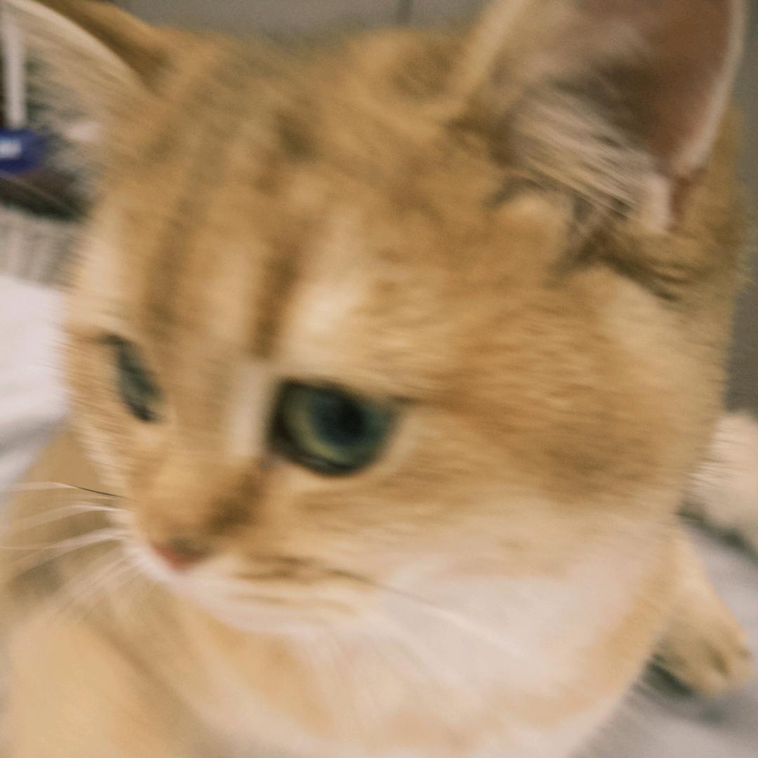 张靠谱