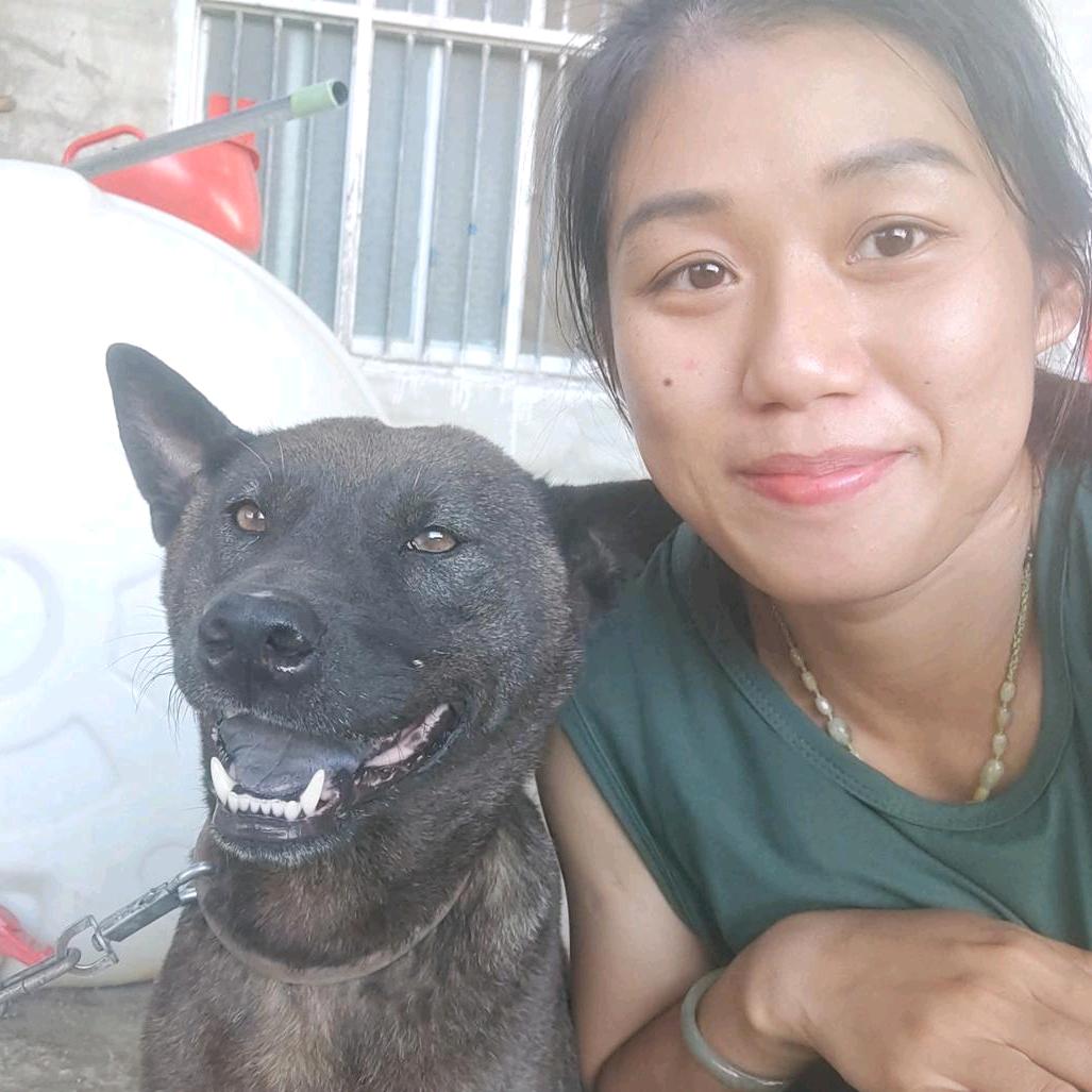 你是来打秋风的吧