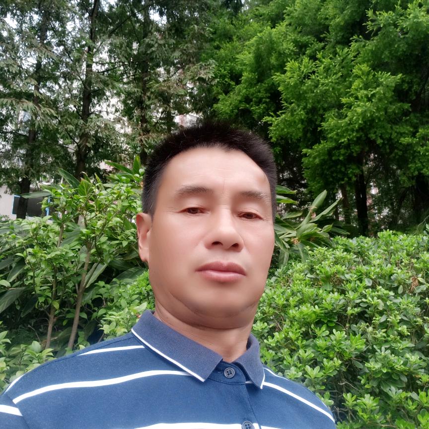 龙名洋