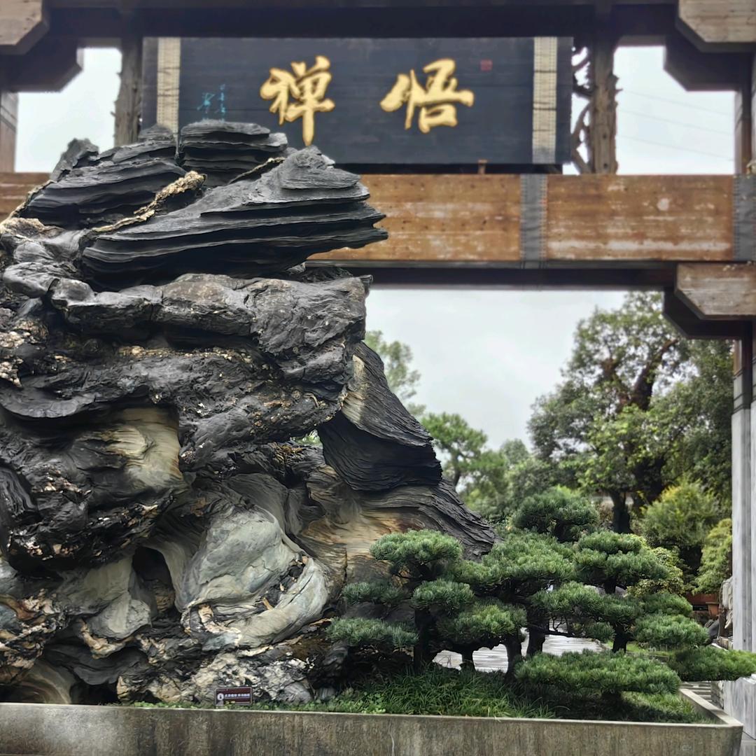 百步川阳