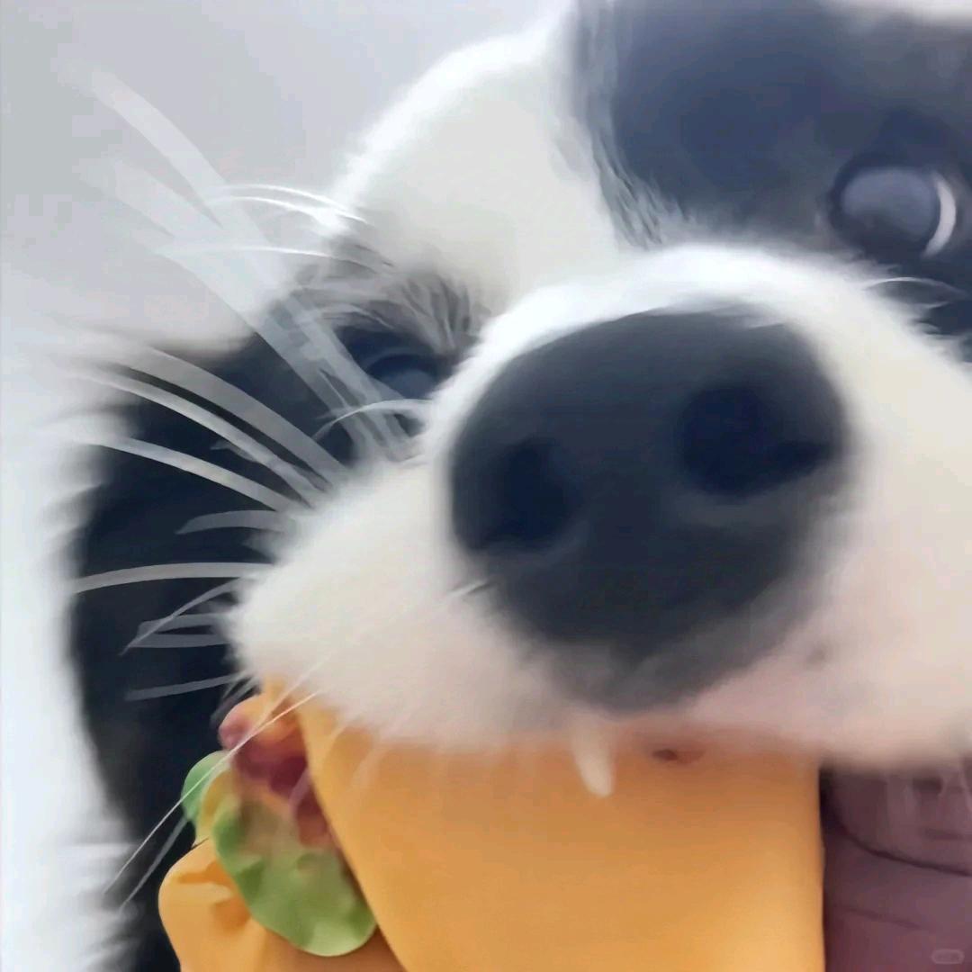 克瑞斯特