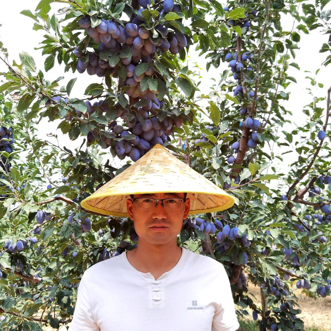 圣鲜水果（大荔冬枣季）