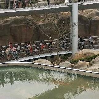 四季旺旺做装修油漆