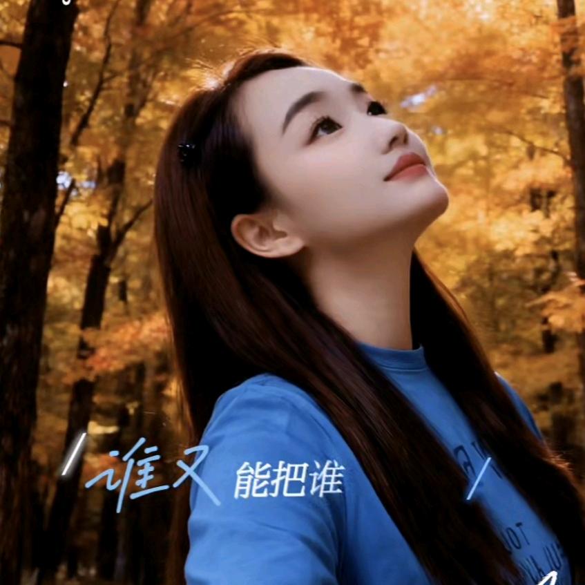 皖 C 小姐姐