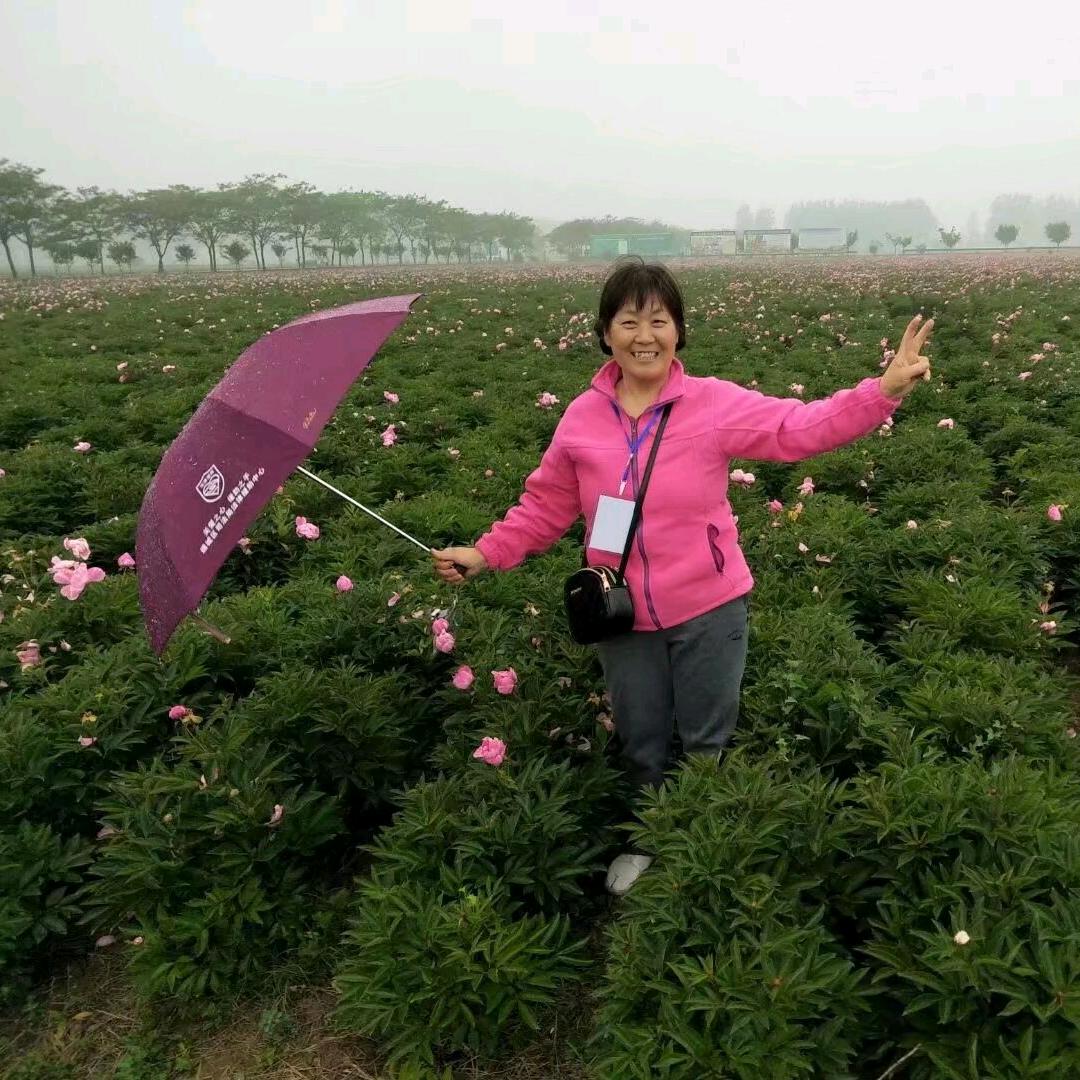 西阳无限好