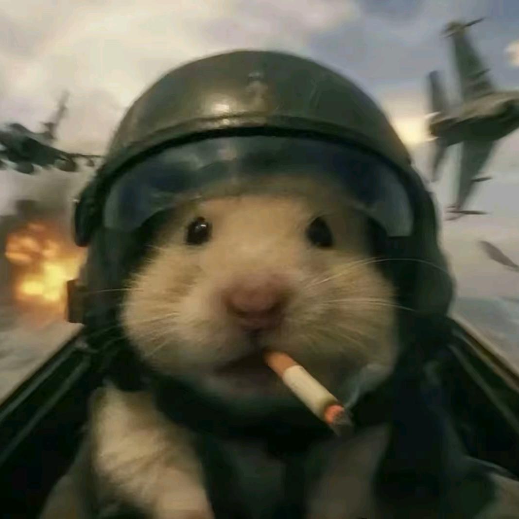 鼠鼠