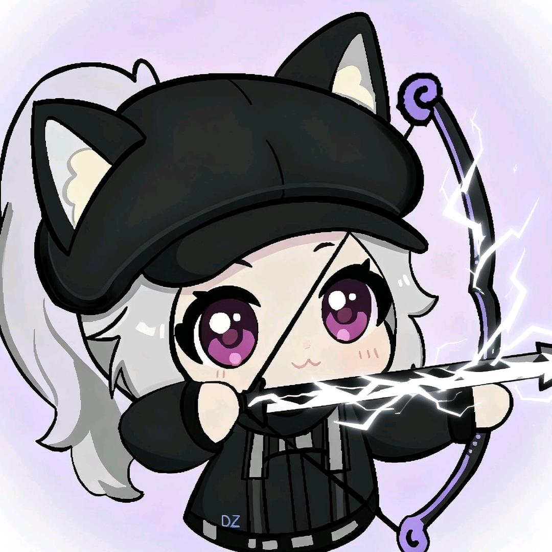 DZ电竞（三角洲行动）