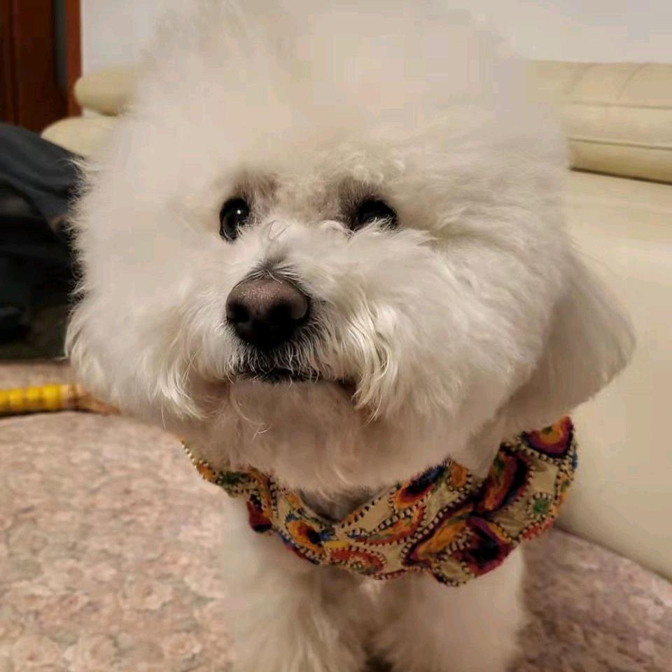 顺其自然236306830