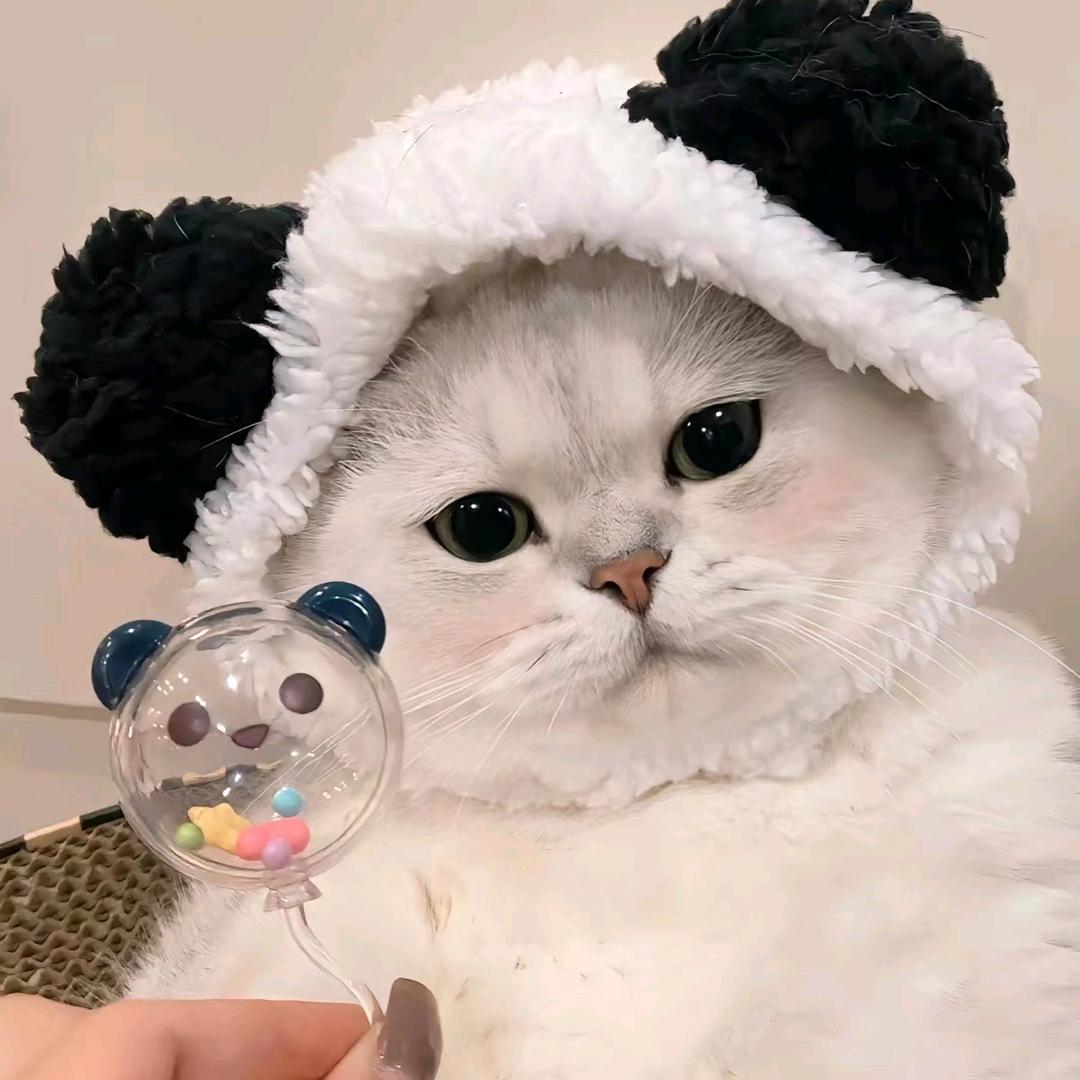 十  二