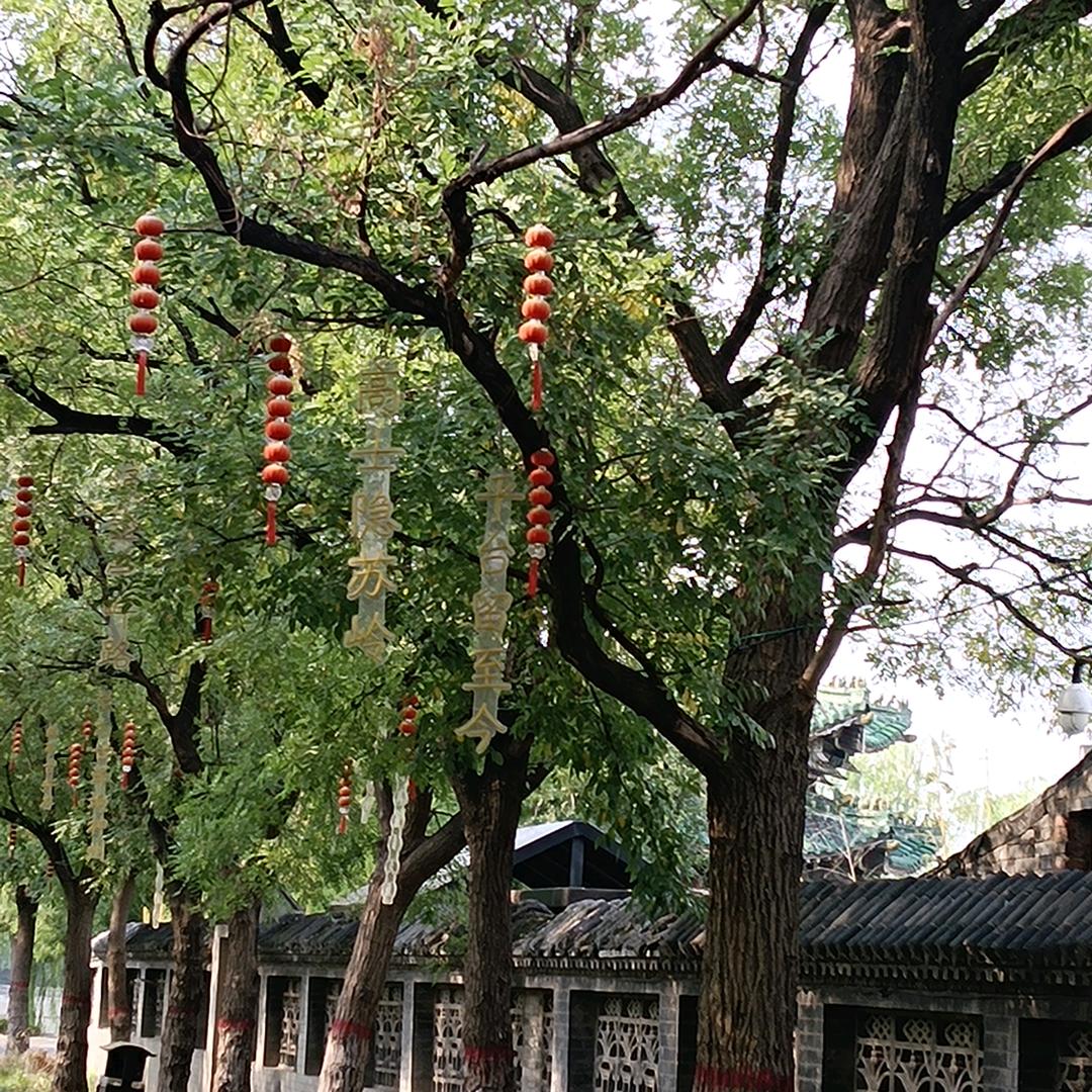 一切皆有可能