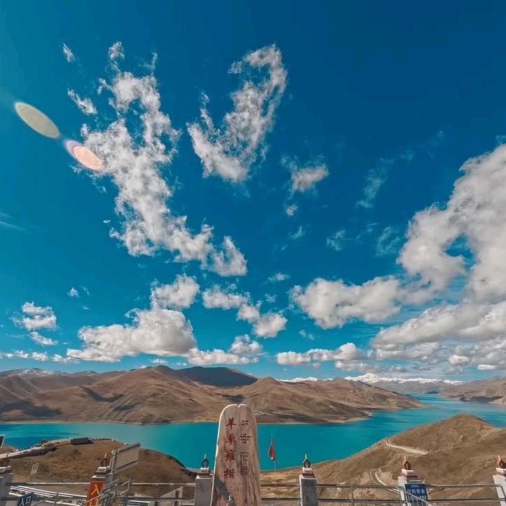 鲁班七号的直播号