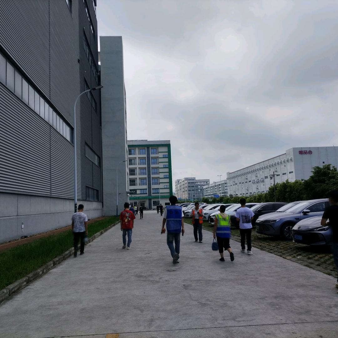 摆摊的，实体店的看过来