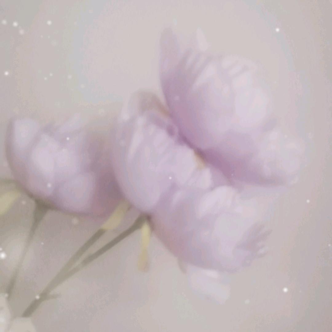 程姐49037211