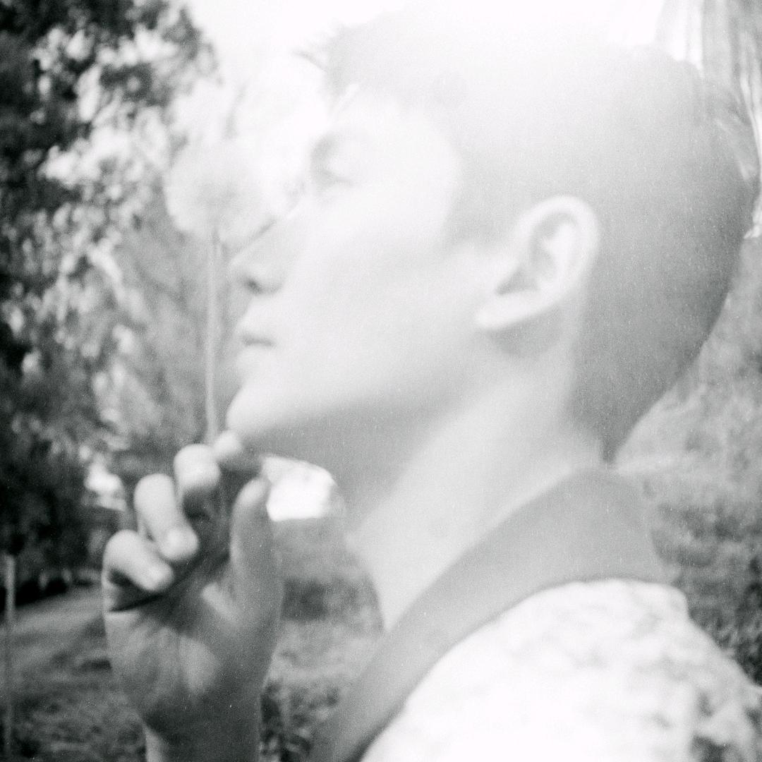 ヘ.花落～*:･ﾟ