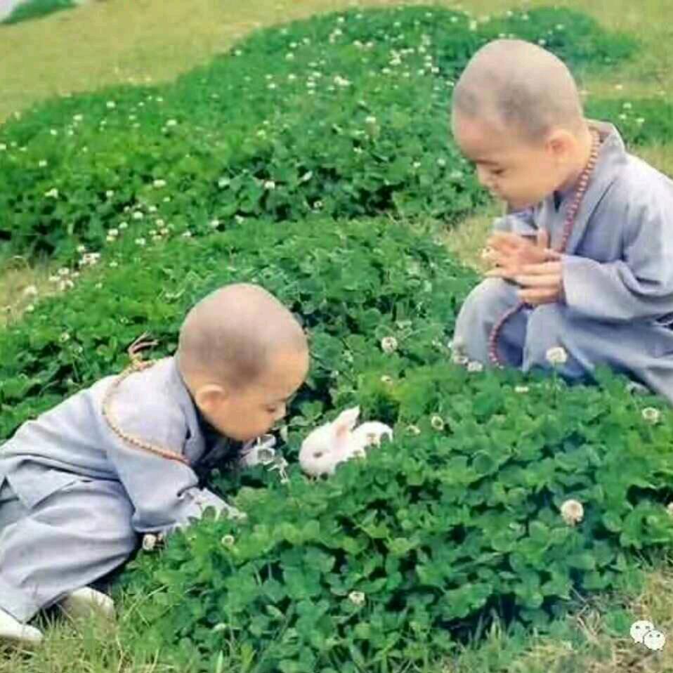 ࿐ ꦻꦼ  㞮孞 🍂࿐