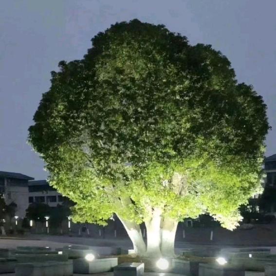 不在挽留