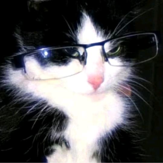 V_Viky（已胖十斤版）