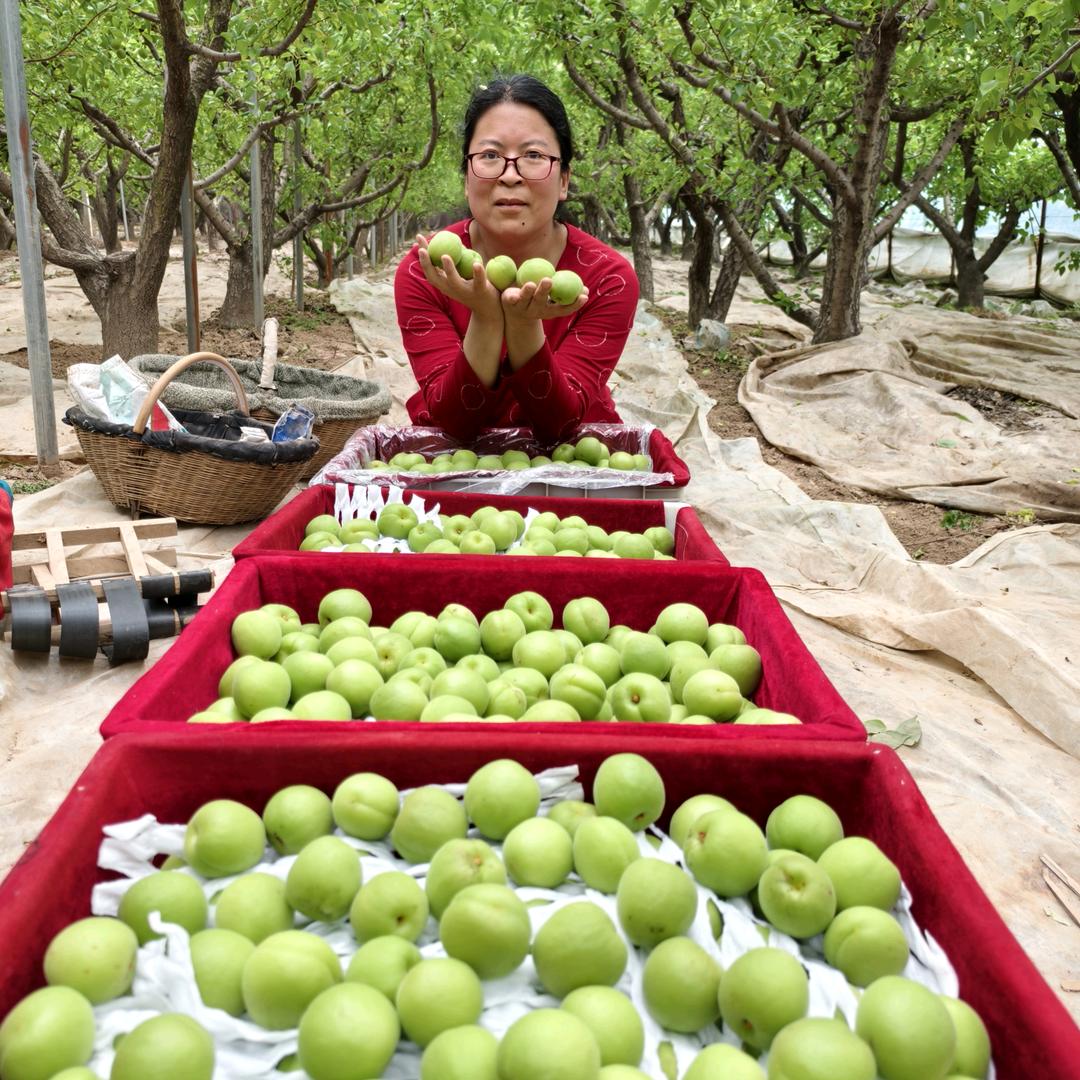回味农家水果店