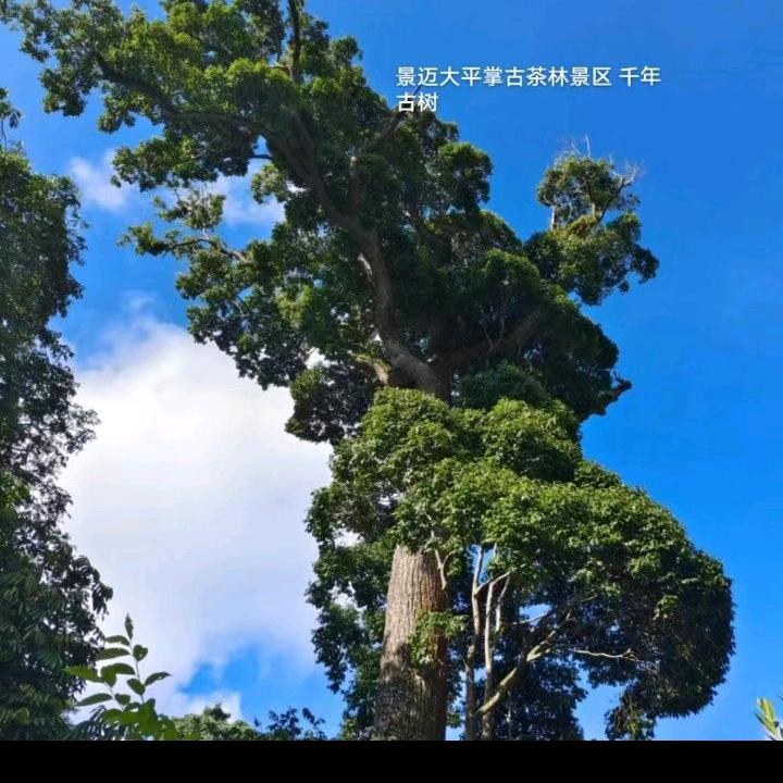 用户4845908856068@好好生活