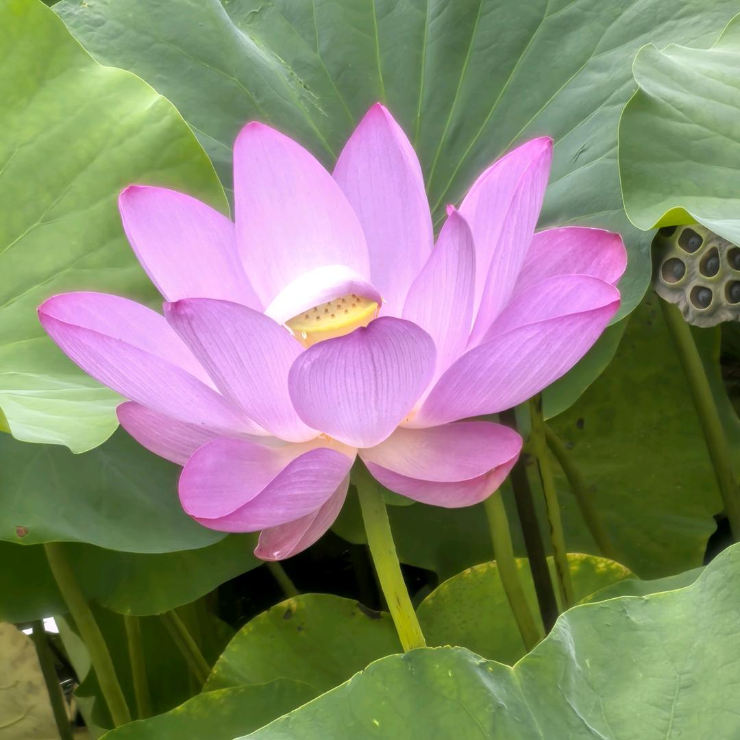 渴望明天更美好