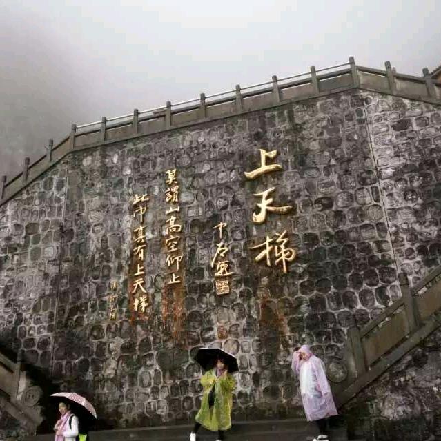 @幸运草