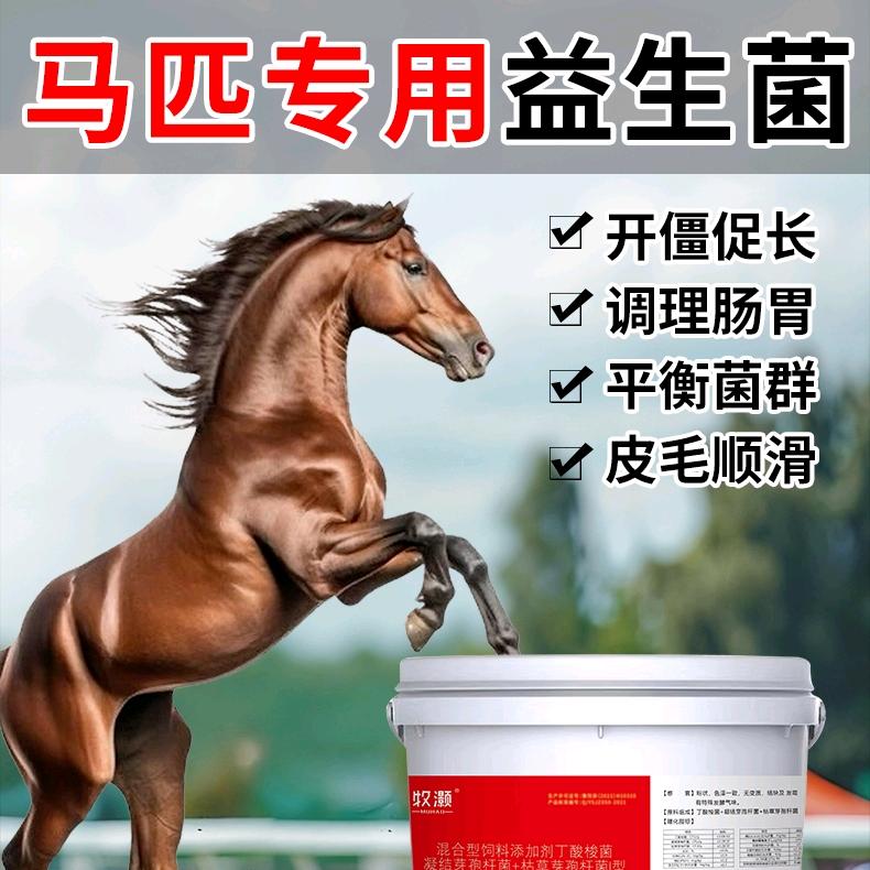 马匹健康指南