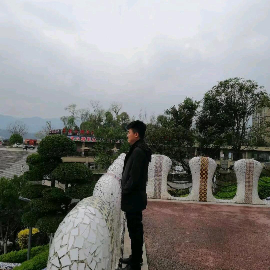 鸿鹤
