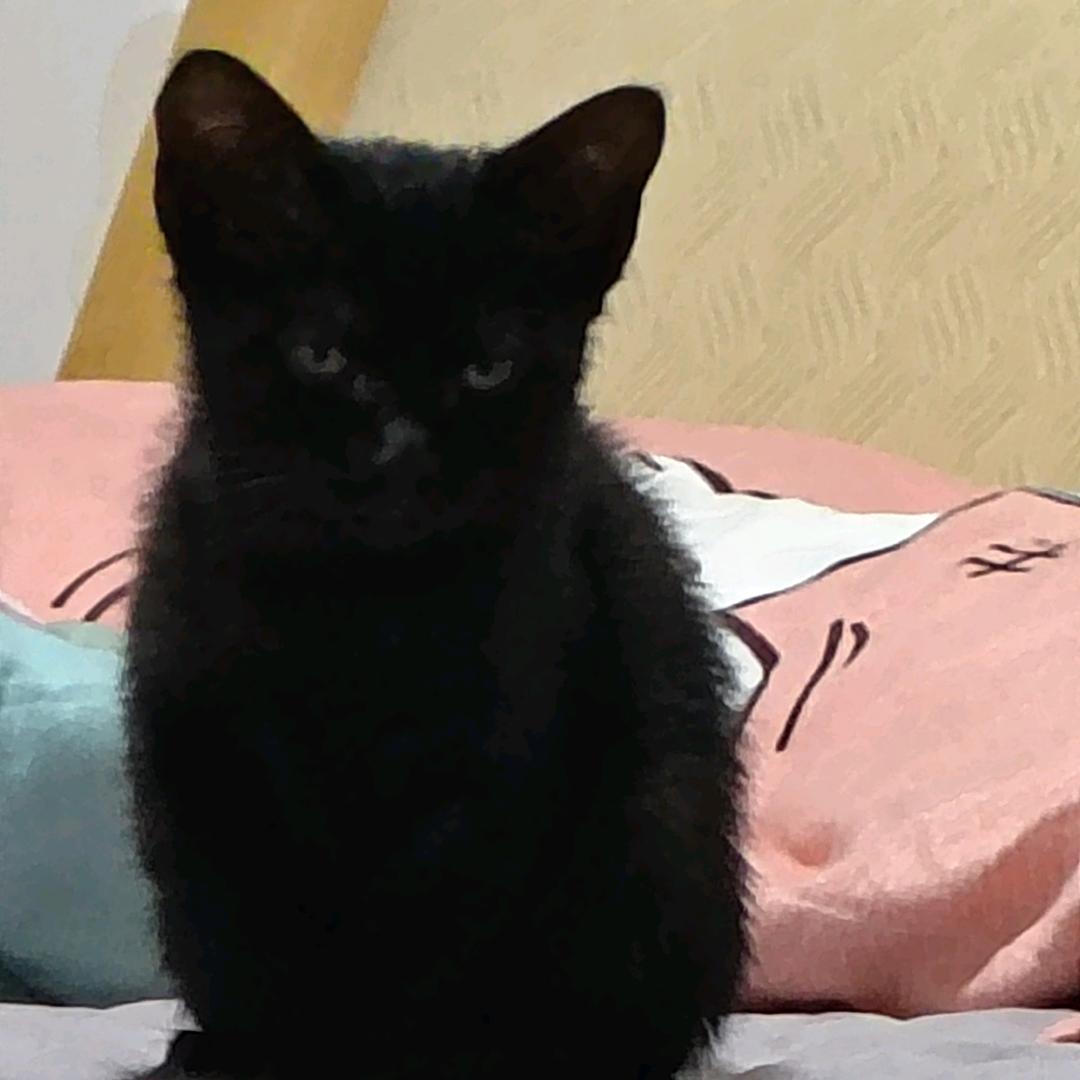 我类个猴🐒也…