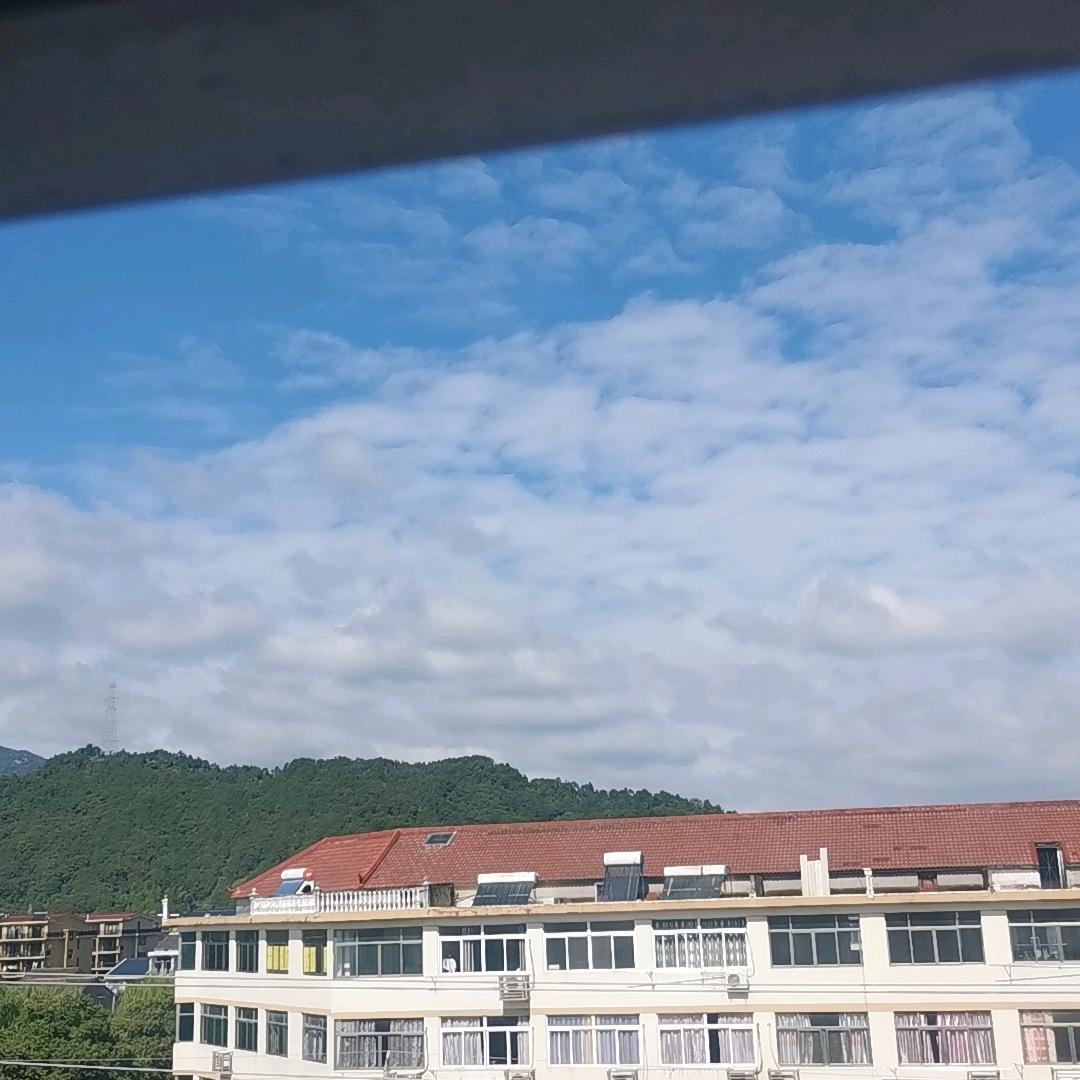 来来来