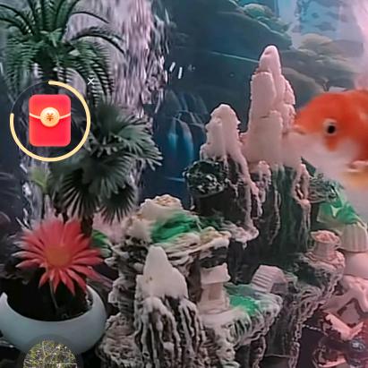 肖蓉宣卤味店🦆🐟🔥🔥✌✌