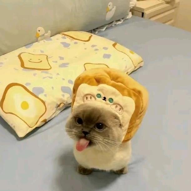 拾贰