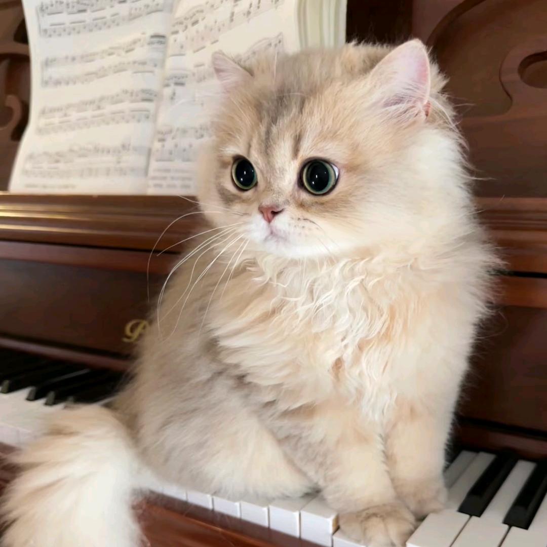 37💌ˣʸ(涂鸦版)