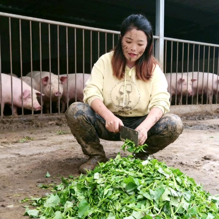 痛而不言笑而不语