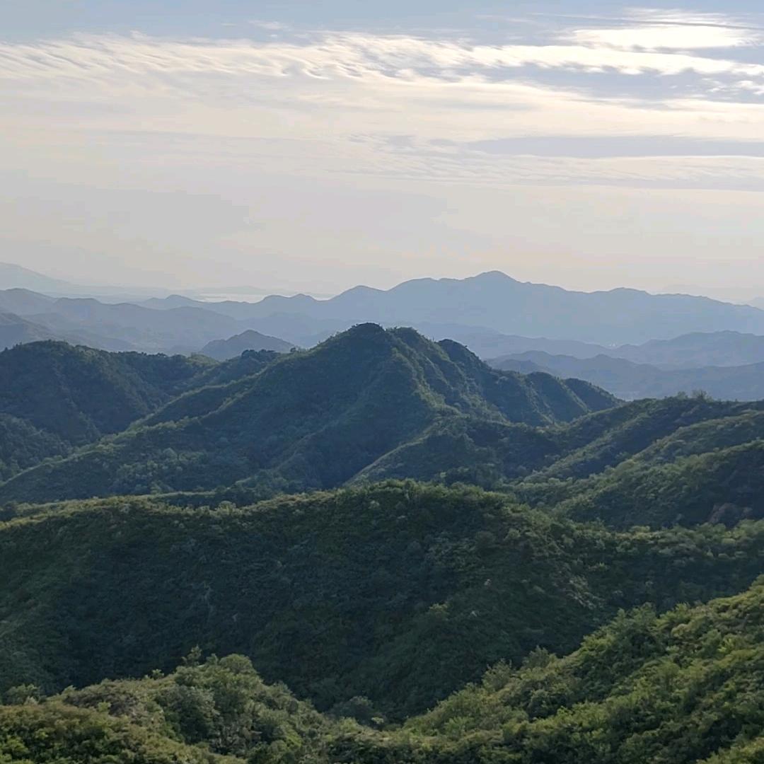 蓬泰