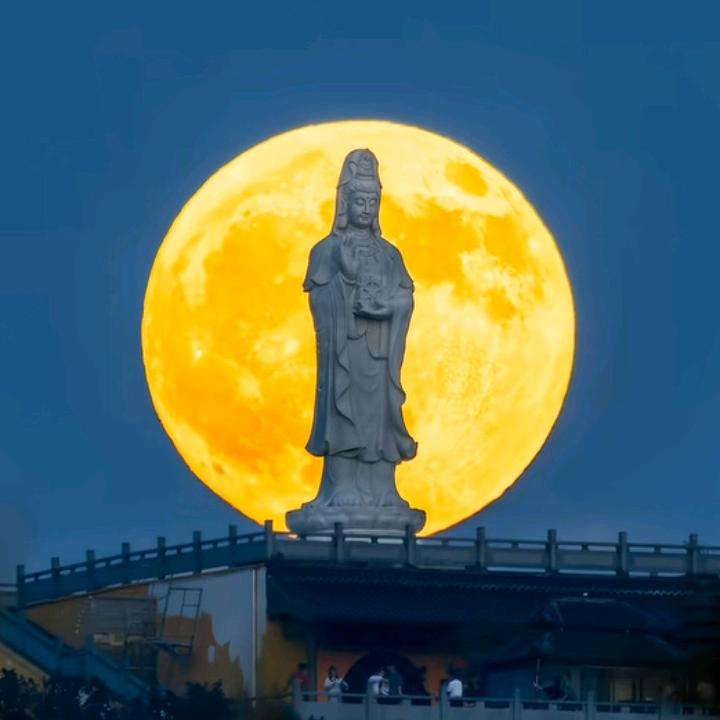 强盛贸易公司