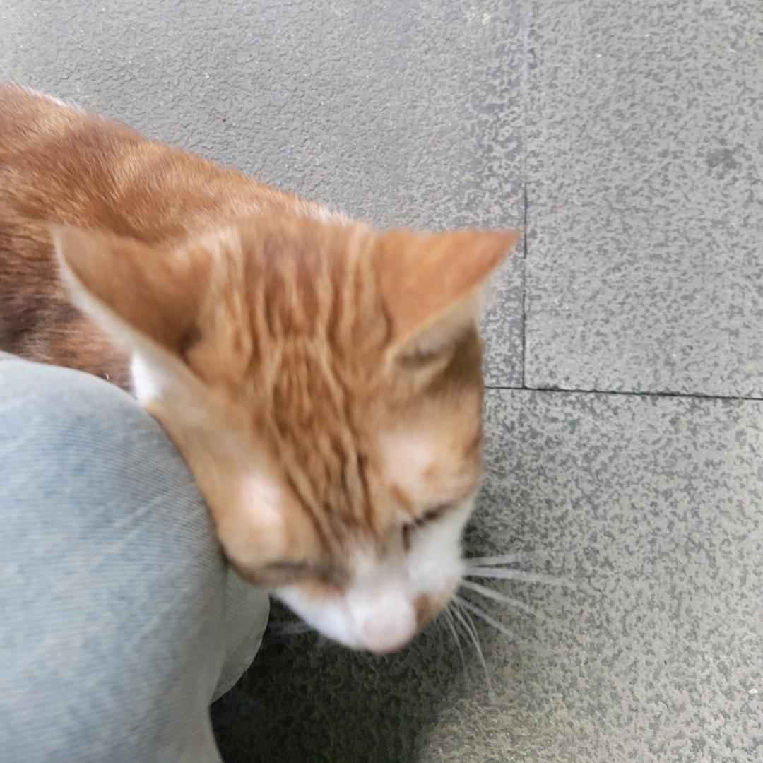 黑色生命力，没错