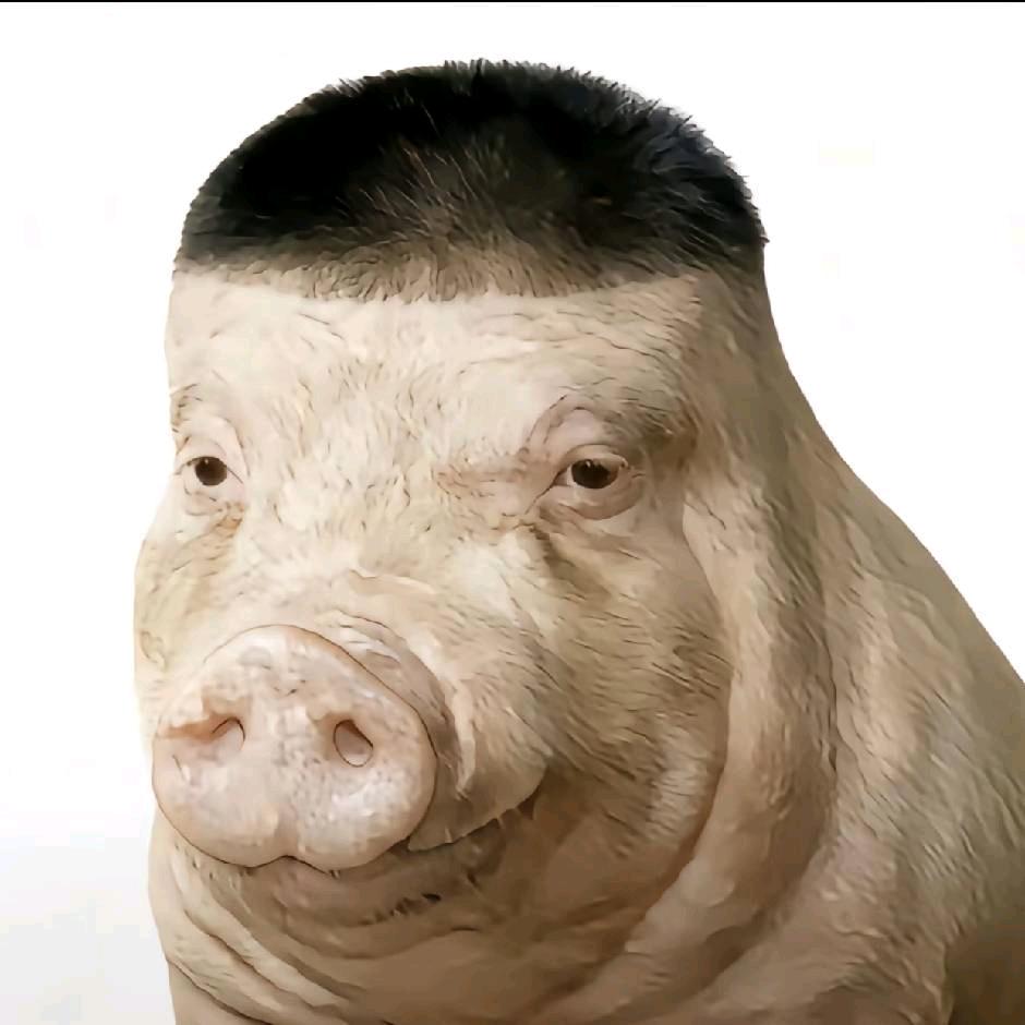 不丑的话也挺帅ㅤㅤ