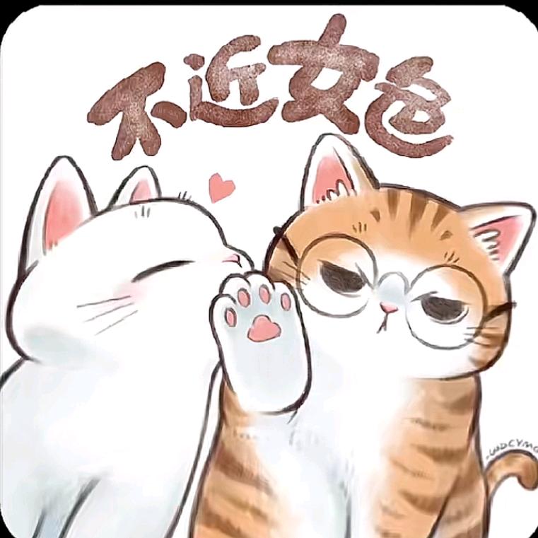 小辉