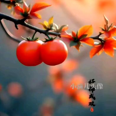 宁津名仁窗帘
