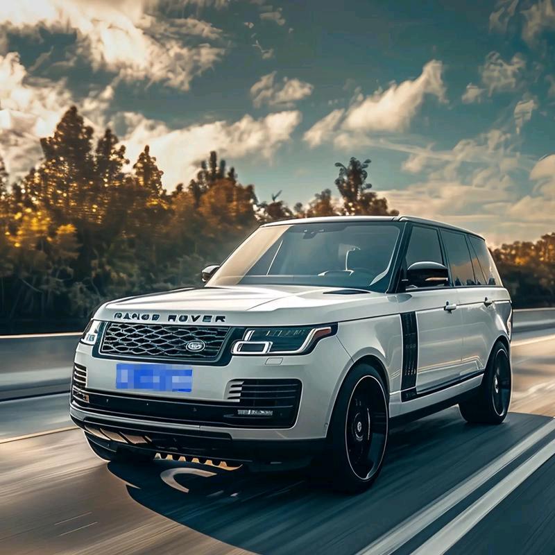 顺风二手车老张