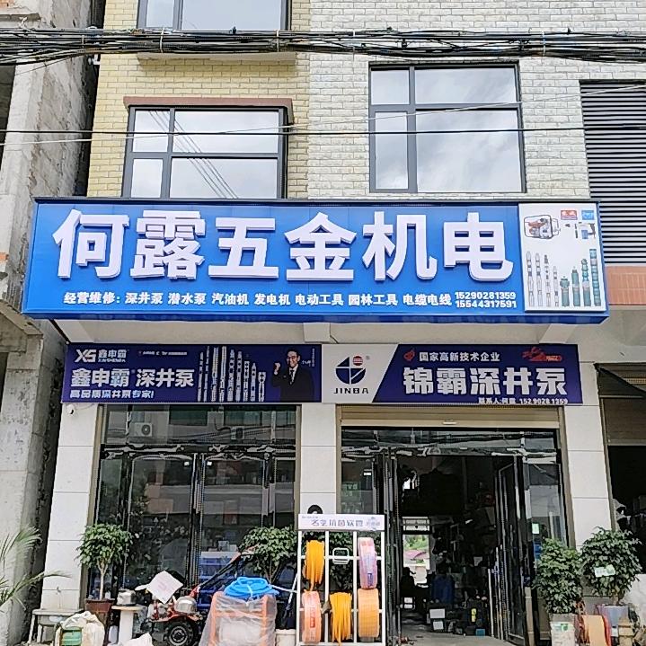 王店机电维修，何露(各种深井泵)
