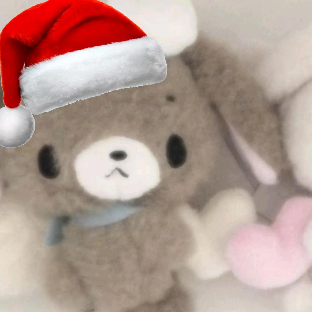 等小WON猫🐱回家
