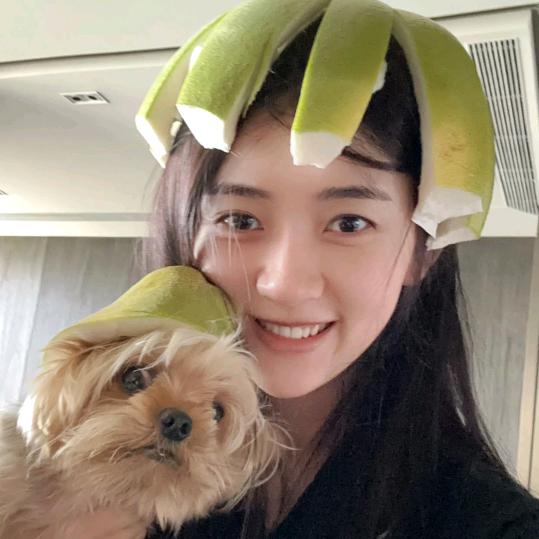 蘑菇力🍄
