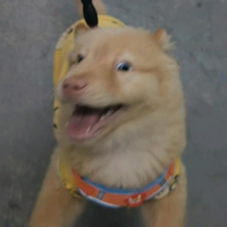 林林七头像
