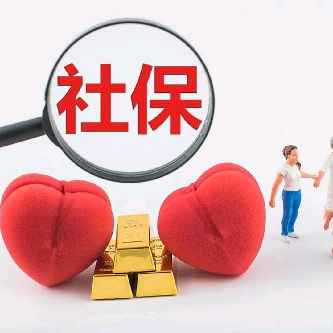 @社保规划燕子老师