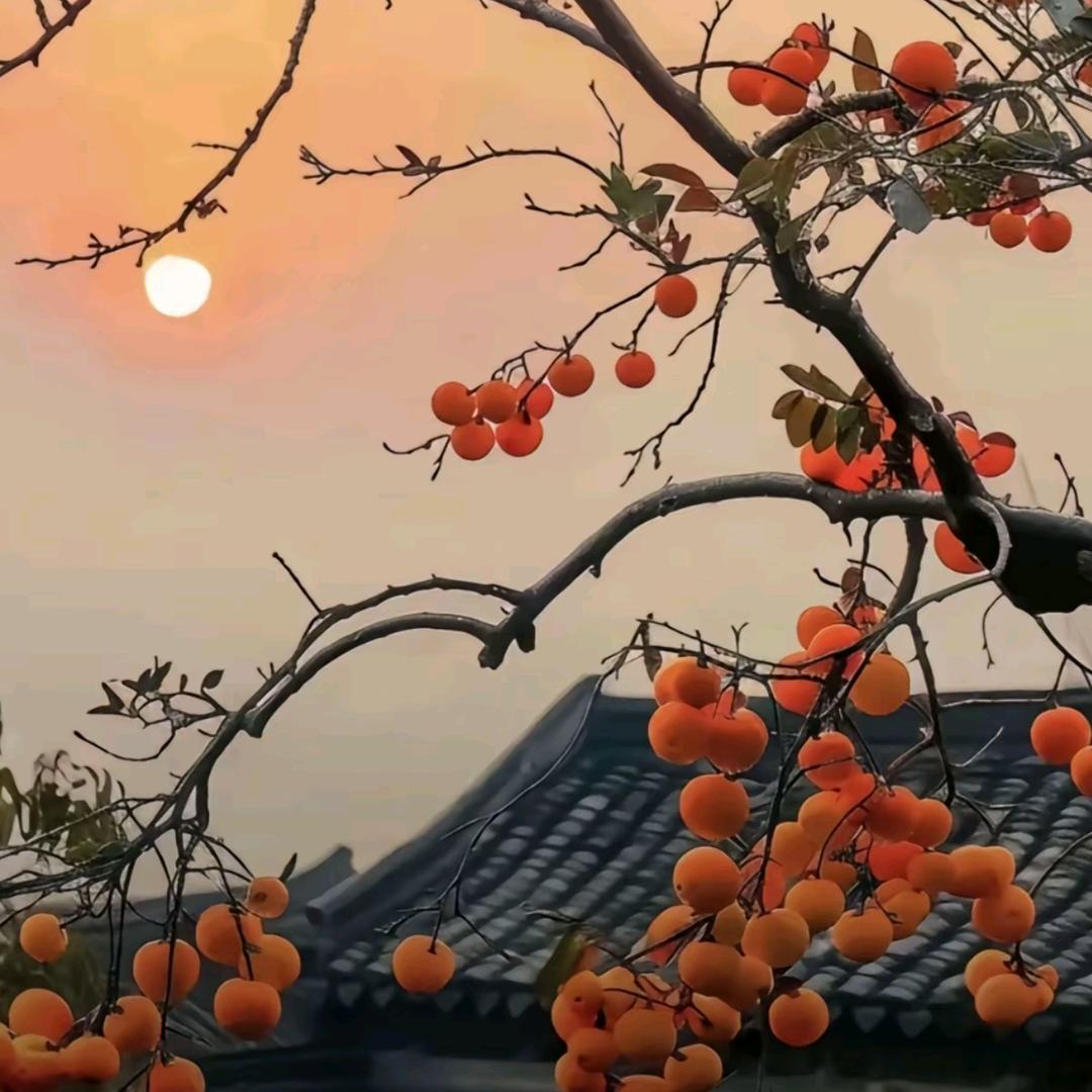 唯你入心