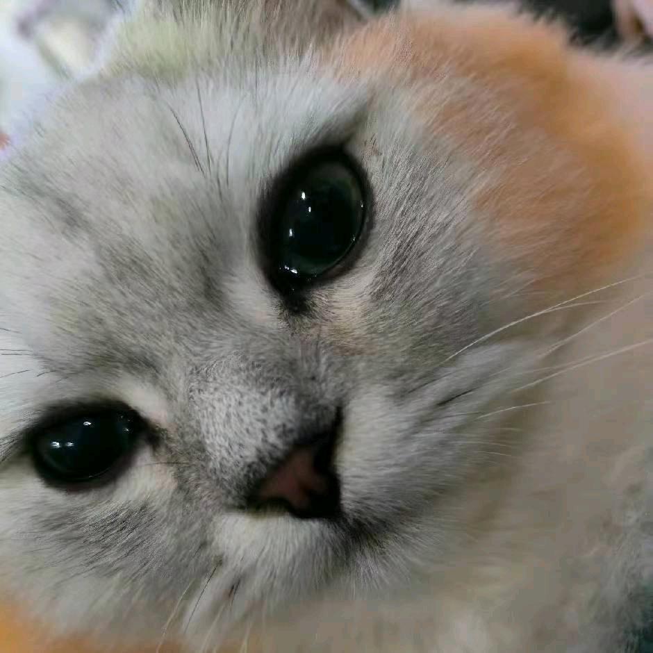㞮孞💕