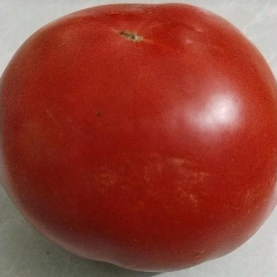 从头再来